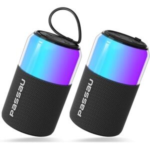 Passau Portable Bluetooth Speaker with RGB Lighting and Type C Charge